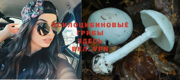 СК Балахна