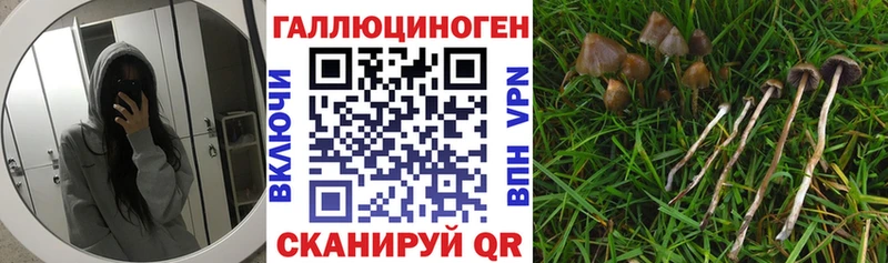 как найти   KRAKEN ссылки  Галлюциногенные грибы мицелий  Мышкин 